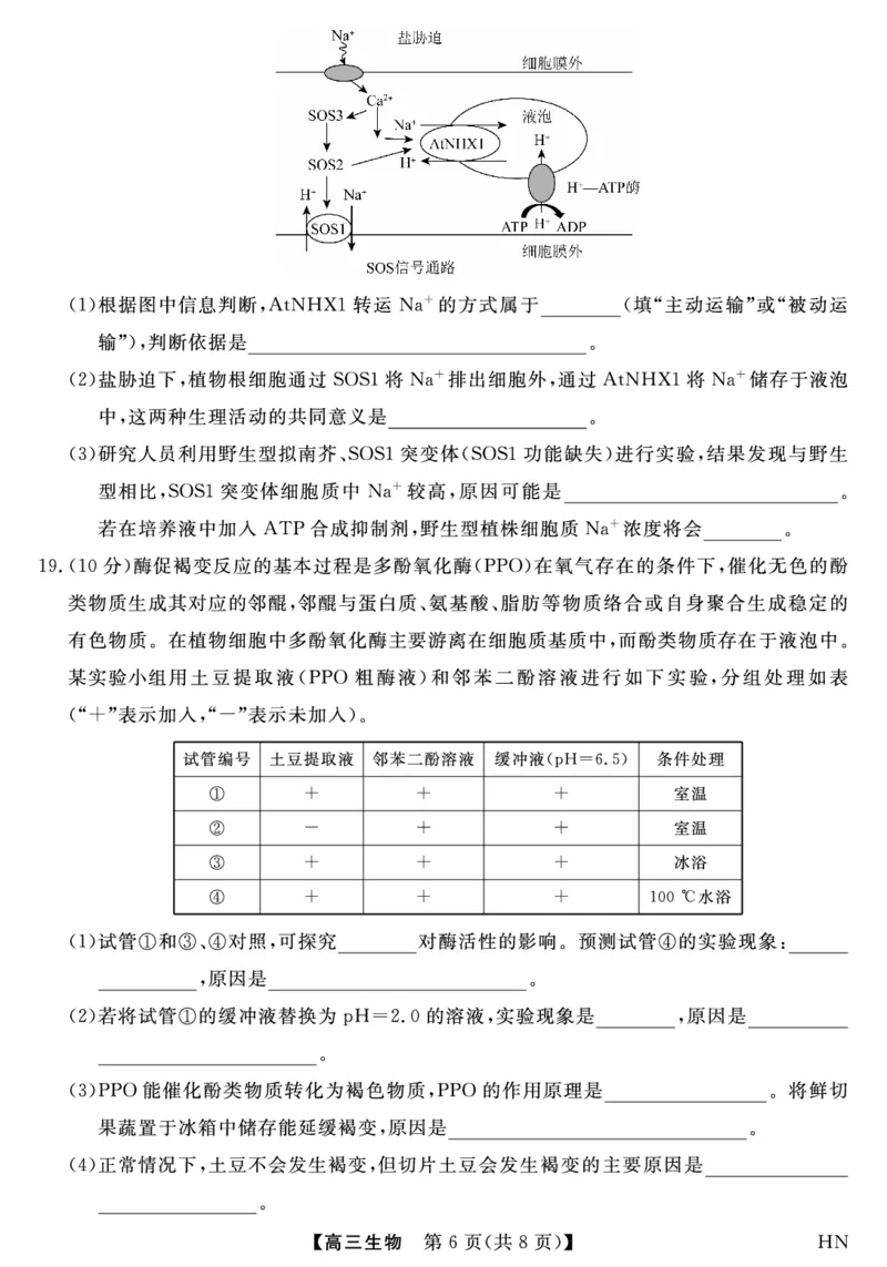 2026届高三华师联盟10月质量检测考试+生物_2025年10月_2510182026届高三华师联盟10月质量检测考试（全科）
