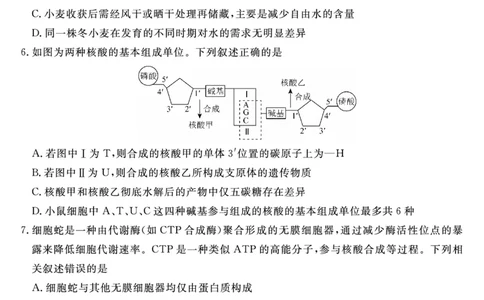 2026届高三华师联盟10月质量检测考试+生物_2025年10月_2510182026届高三华师联盟10月质量检测考试（全科）