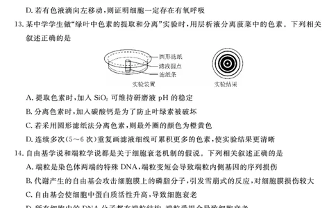 2026届高三华师联盟10月质量检测考试+生物_2025年10月_2510182026届高三华师联盟10月质量检测考试（全科）