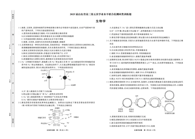 25.2齐鲁名校大联考高三生物学同类训练题正文_2025年2月_250218山东省齐鲁名校2025届高三下学期第五次学业水平联合检测