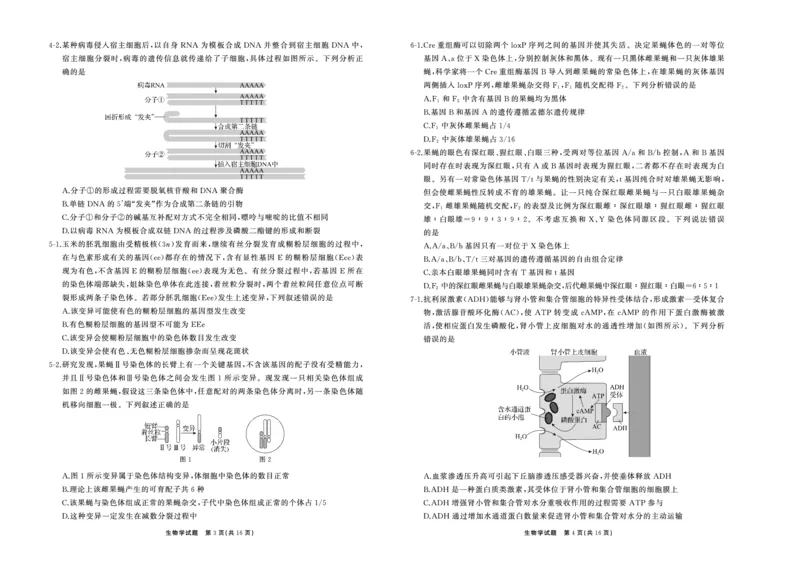25.2齐鲁名校大联考高三生物学同类训练题正文_2025年2月_250218山东省齐鲁名校2025届高三下学期第五次学业水平联合检测