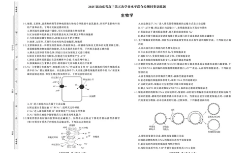 25.2齐鲁名校大联考高三生物学同类训练题正文_2025年2月_250218山东省齐鲁名校2025届高三下学期第五次学业水平联合检测