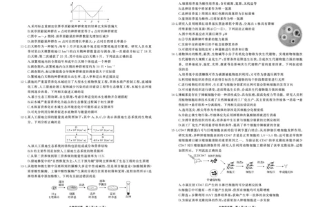 25.2齐鲁名校大联考高三生物学同类训练题正文_2025年2月_250218山东省齐鲁名校2025届高三下学期第五次学业水平联合检测
