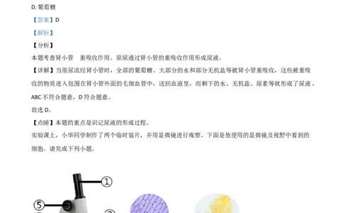 精品解析：山西省阳泉市2020年中考生物试题（解析版）_中考真题_8.生物中考真题2015-2024年_2020生物真题74份_2020年中考真题精品解析生物(山西阳泉卷)精编word版