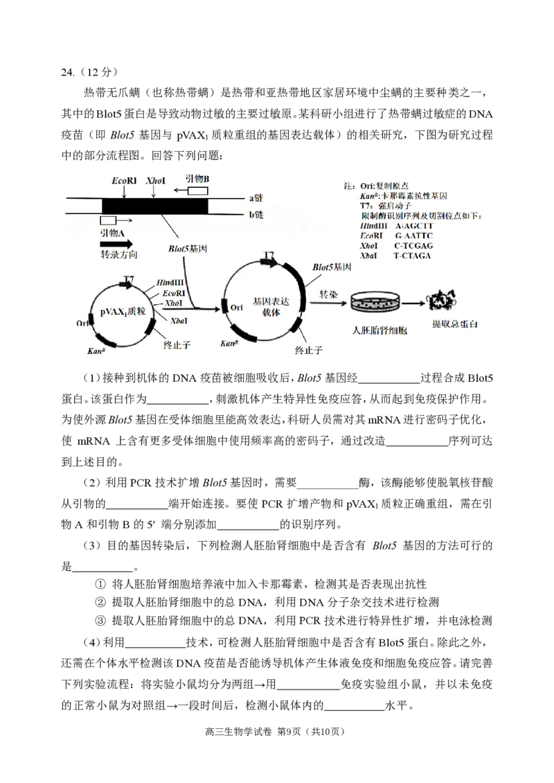 高三生物学试卷_2024届辽宁省大连市高三上学期期末双基测试_辽宁省大连市2024届高三上学期期末双基测试生物
