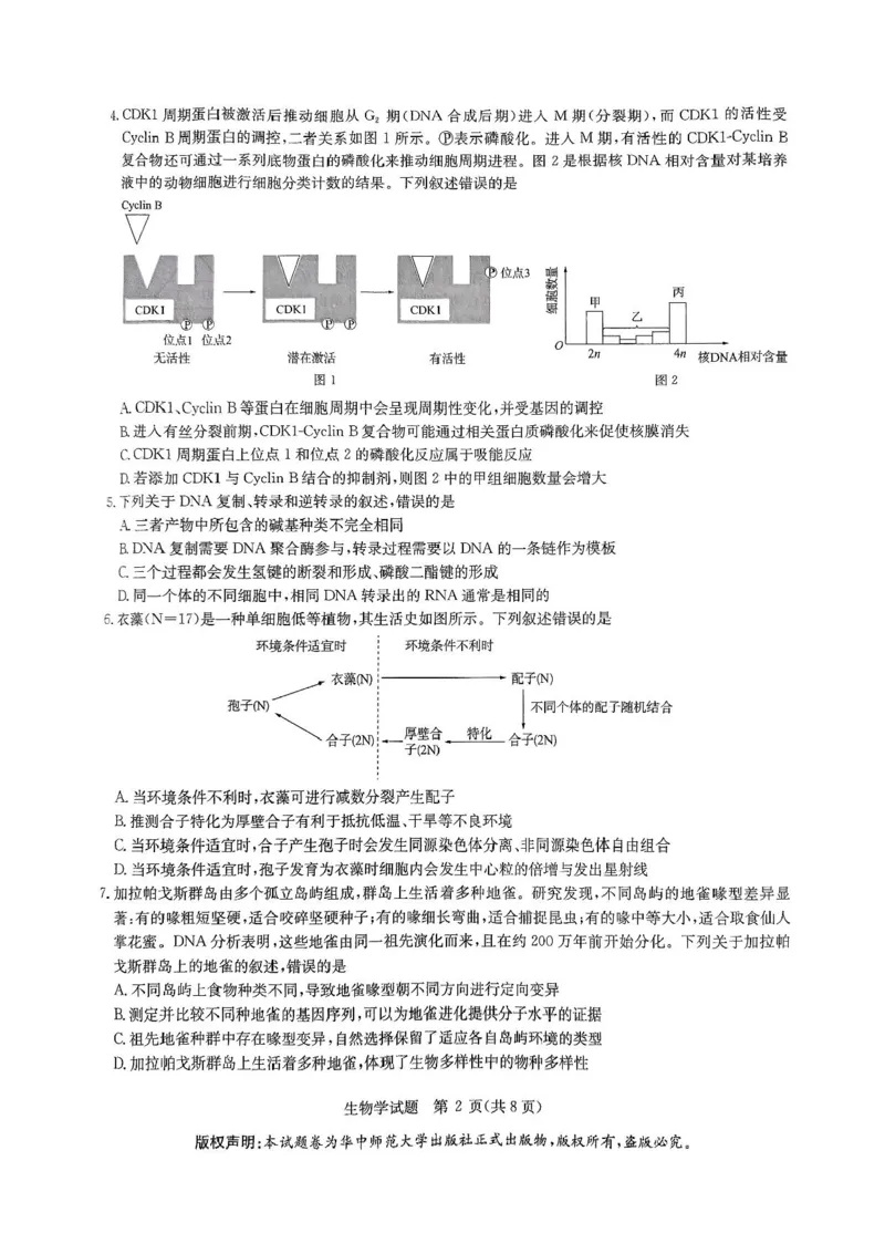 2025届华大新高考联盟高三下学期5月模拟预测生物试题（含答案）_2025年5月_2505212025届华大新高考联盟高三下学期5月模拟预测（全科）