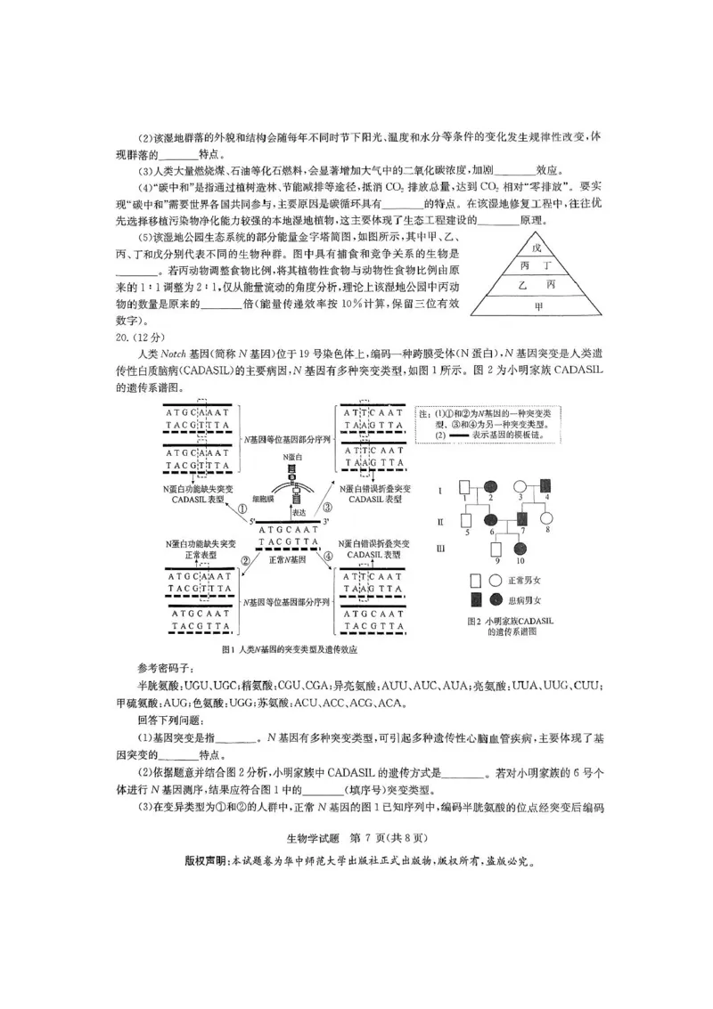2025届华大新高考联盟高三下学期5月模拟预测生物试题（含答案）_2025年5月_2505212025届华大新高考联盟高三下学期5月模拟预测（全科）