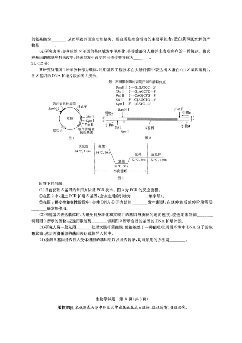 2025届华大新高考联盟高三下学期5月模拟预测生物试题（含答案）_2025年5月_2505212025届华大新高考联盟高三下学期5月模拟预测（全科）