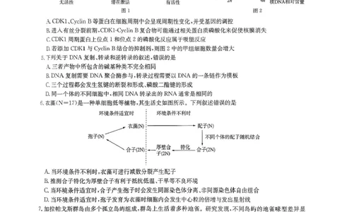 2025届华大新高考联盟高三下学期5月模拟预测生物试题（含答案）_2025年5月_2505212025届华大新高考联盟高三下学期5月模拟预测（全科）