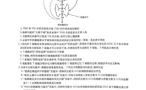 2025届华大新高考联盟高三下学期5月模拟预测生物试题（含答案）_2025年5月_2505212025届华大新高考联盟高三下学期5月模拟预测（全科）