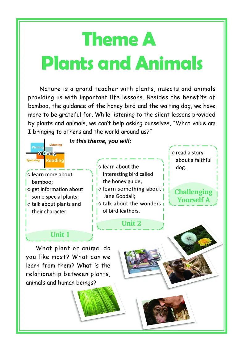 重大版英语选修第二册高清教材_4-教培资料-26年最新资料-同步更新_初中高中教资_03科三专项（进去保存报考的学科即可）_02科三专项（笔记真题思维导图教学设计版本二）