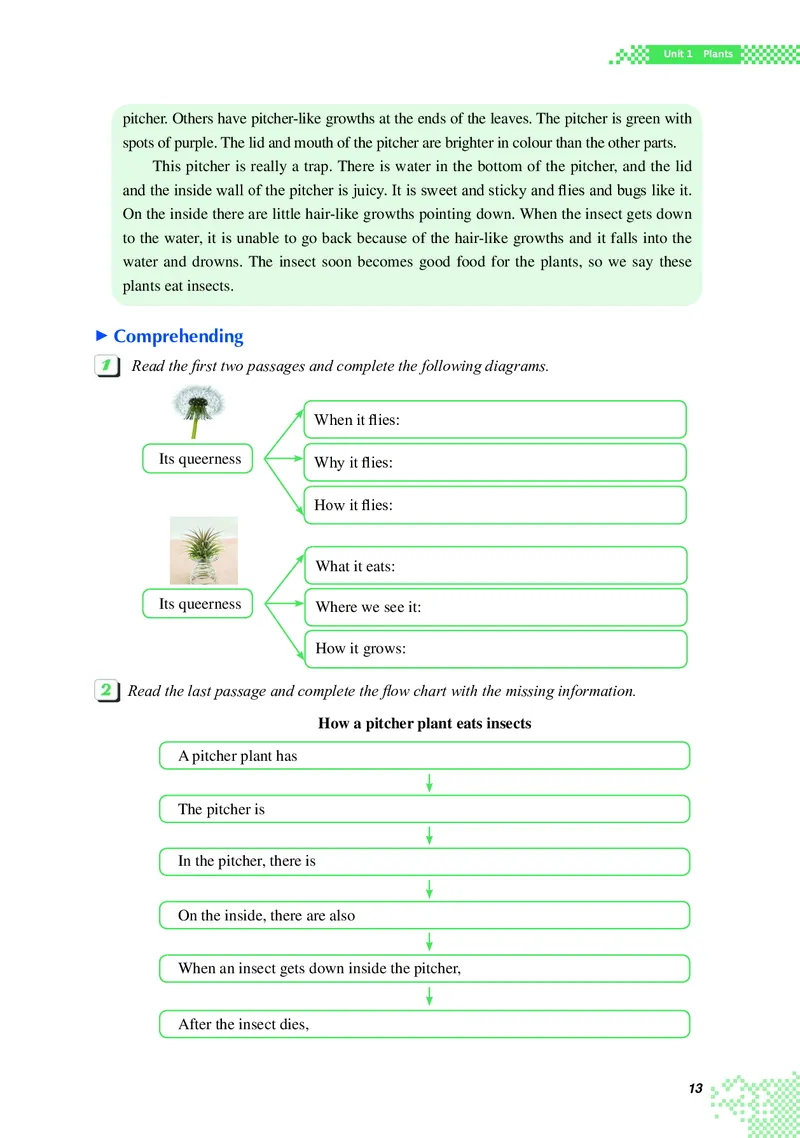 重大版英语选修第二册高清教材_4-教培资料-26年最新资料-同步更新_初中高中教资_03科三专项（进去保存报考的学科即可）_02科三专项（笔记真题思维导图教学设计版本二）