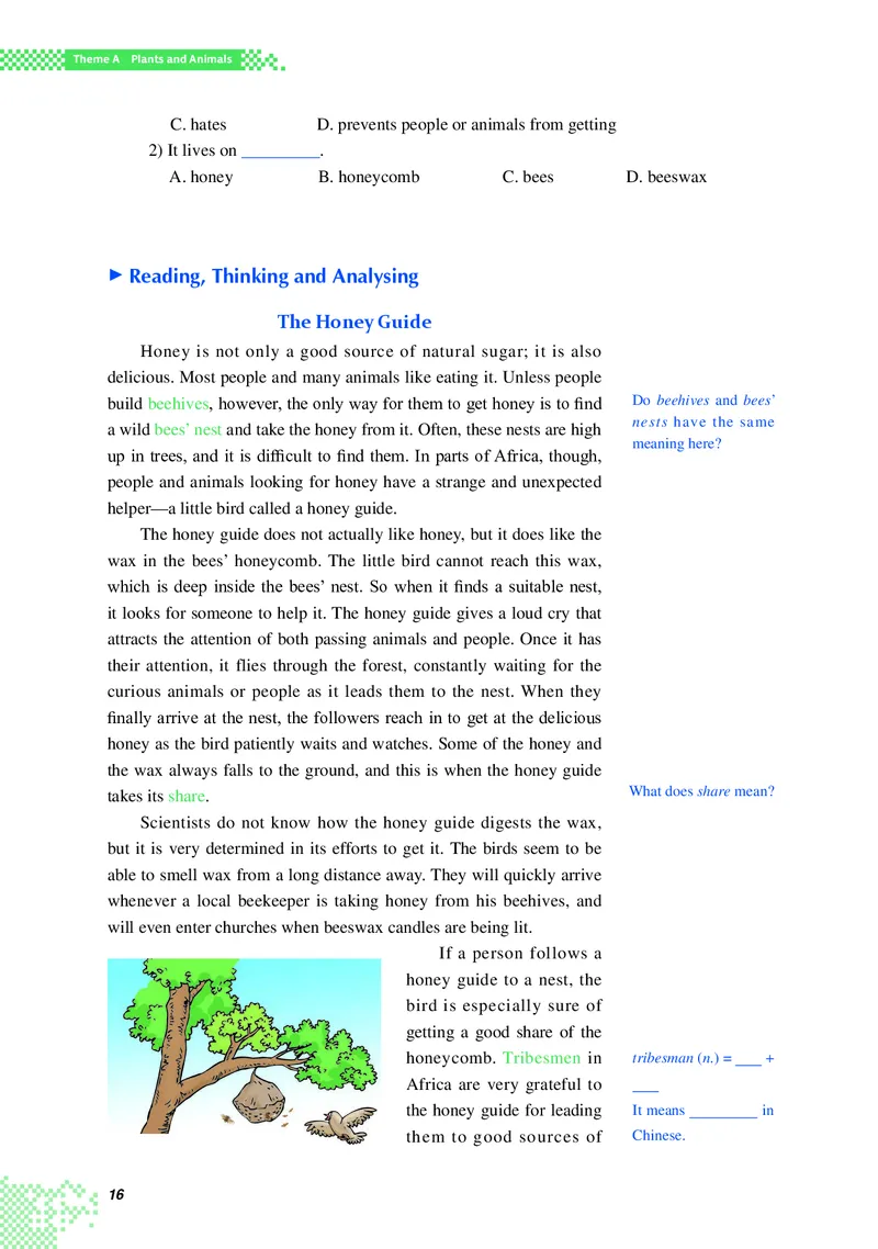 重大版英语选修第二册高清教材_4-教培资料-26年最新资料-同步更新_初中高中教资_03科三专项（进去保存报考的学科即可）_02科三专项（笔记真题思维导图教学设计版本二）