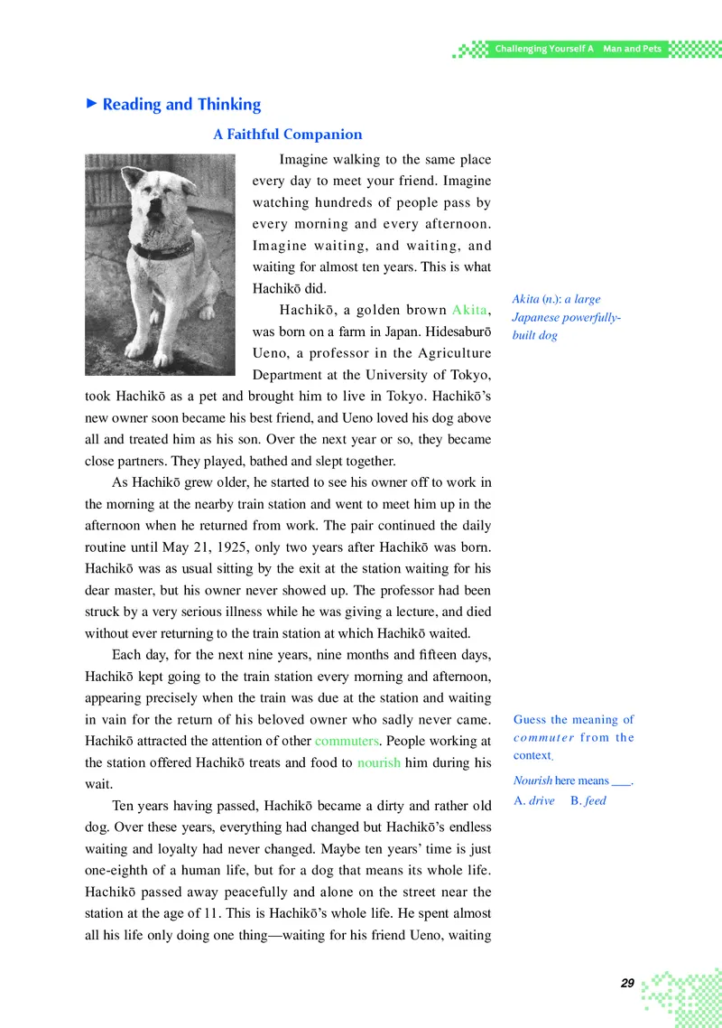 重大版英语选修第二册高清教材_4-教培资料-26年最新资料-同步更新_初中高中教资_03科三专项（进去保存报考的学科即可）_02科三专项（笔记真题思维导图教学设计版本二）