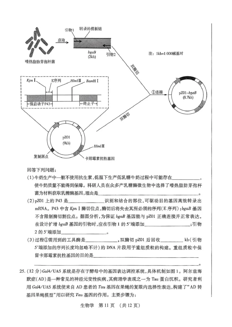 2025届黑龙江省哈尔滨市东北三省四市教研联合体高考模拟一模生物试题_2025年4月_2504112025年东北三省四市教研联合体高考模拟考试(一)（全科）