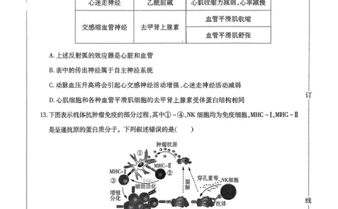 2025届黑龙江省哈尔滨市东北三省四市教研联合体高考模拟一模生物试题_2025年4月_2504112025年东北三省四市教研联合体高考模拟考试(一)（全科）