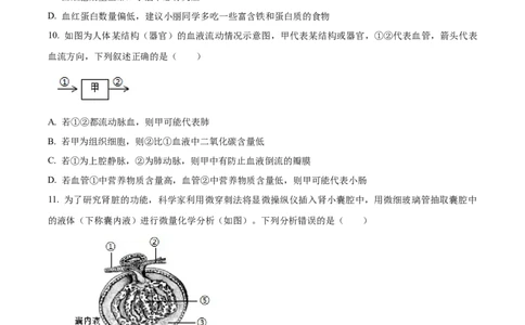 精品解析：2024年山东省聊城市中考生物试题（原卷版）_中考真题_8.生物中考真题2015-2024年_2024年中考生物真题_精品解析：2024年山东省聊城市中考生物试题