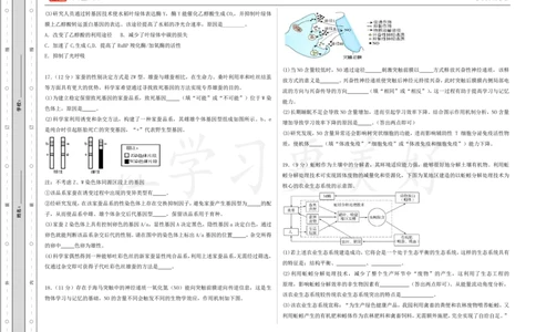 (8.16)-点睛押题卷&mdash;&mdash;海南卷_2024高考押题卷_132024高途全系列_26高途点睛卷_2024点睛密卷-生物