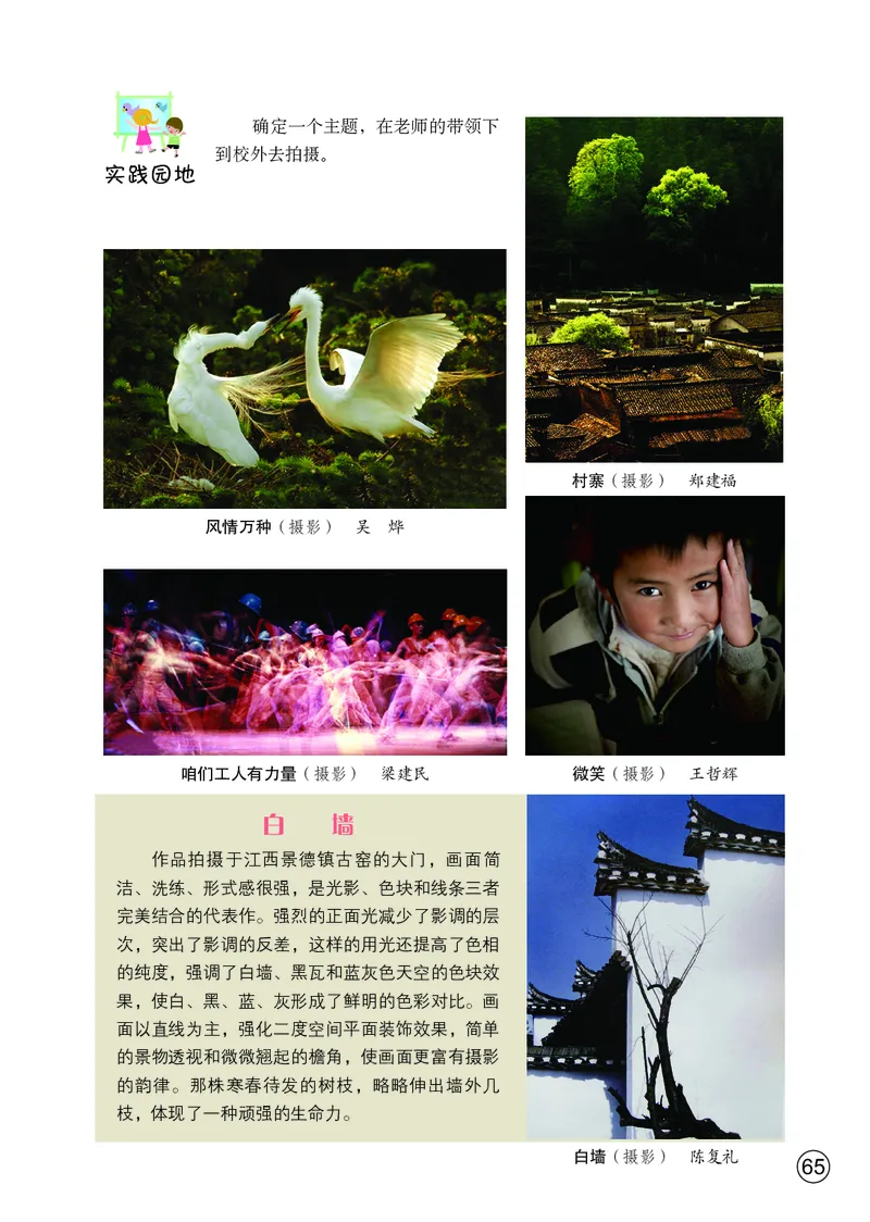 鄂教版7年级艺术上册高清教材_4-教培资料-26年最新资料-同步更新_初中高中教资_03科三专项（进去保存报考的学科即可）_02科三专项（笔记真题思维导图教学设计版本二）