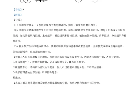 精品解析：浙江省绍兴市2020年中考科学试题（解析版）_中考真题_7.政治中考真题2015-2024年_2020政治真题79份_2020年中考真题精品解析科学（浙江绍兴卷）精编word版