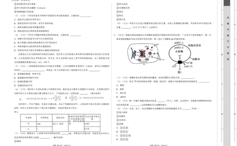 高一生物第一次月考卷（考试版A3）（上海专用）_1多考区联考试卷_0922黄金卷：2024-2025学年高一上学期第一次月考9科word解析版含答题卡（上海专用）