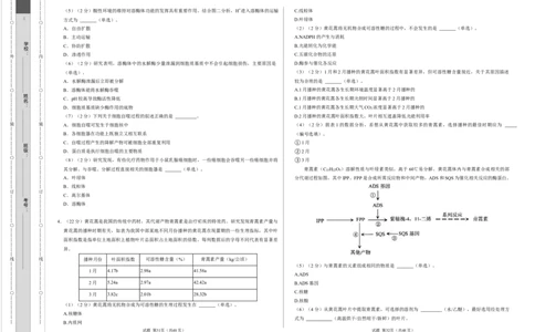 高一生物第一次月考卷（考试版A3）（上海专用）_1多考区联考试卷_0922黄金卷：2024-2025学年高一上学期第一次月考9科word解析版含答题卡（上海专用）