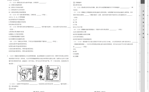 高一生物第一次月考卷（考试版A3）（上海专用）_1多考区联考试卷_0922黄金卷：2024-2025学年高一上学期第一次月考9科word解析版含答题卡（上海专用）