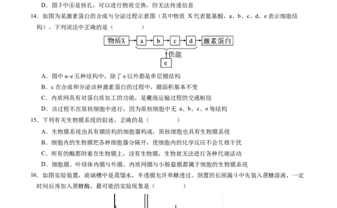 高一生物期中模拟卷01测试范围：人教版2019第1~4章（考试版A4）（新高考通用）_1多考区联考试卷_1014高一期中模拟卷（新高考通用）黄金卷：2024-2025学年高一上学期期中模拟考试