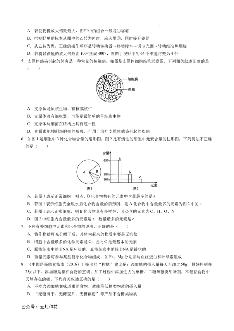 高一生物期中模拟卷01测试范围：人教版2019第1~4章（考试版A4）（新高考通用）_1多考区联考试卷_1014高一期中模拟卷（新高考通用）黄金卷：2024-2025学年高一上学期期中模拟考试