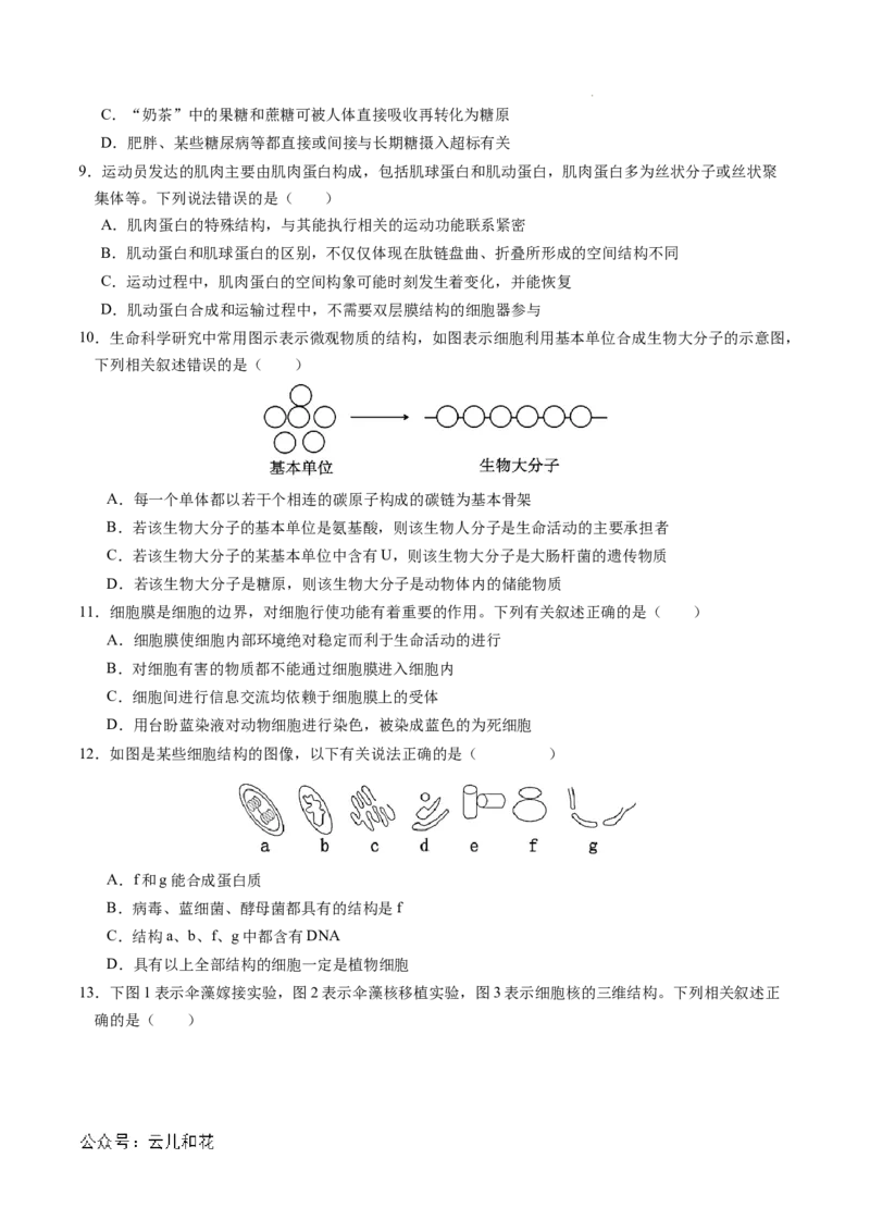 高一生物期中模拟卷01测试范围：人教版2019第1~4章（考试版A4）（新高考通用）_1多考区联考试卷_1014高一期中模拟卷（新高考通用）黄金卷：2024-2025学年高一上学期期中模拟考试