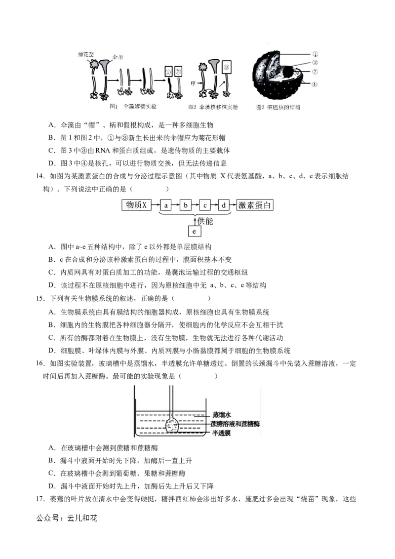 高一生物期中模拟卷01测试范围：人教版2019第1~4章（考试版A4）（新高考通用）_1多考区联考试卷_1014高一期中模拟卷（新高考通用）黄金卷：2024-2025学年高一上学期期中模拟考试