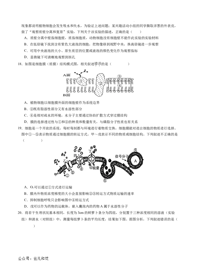 高一生物期中模拟卷01测试范围：人教版2019第1~4章（考试版A4）（新高考通用）_1多考区联考试卷_1014高一期中模拟卷（新高考通用）黄金卷：2024-2025学年高一上学期期中模拟考试