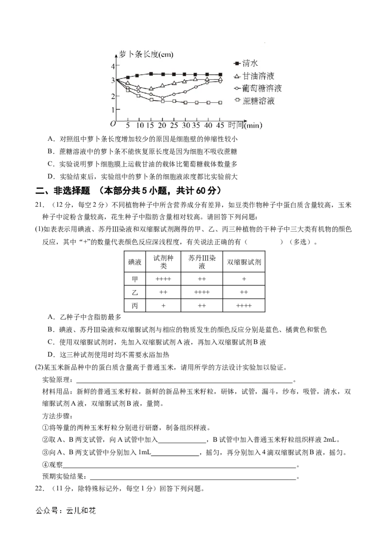 高一生物期中模拟卷01测试范围：人教版2019第1~4章（考试版A4）（新高考通用）_1多考区联考试卷_1014高一期中模拟卷（新高考通用）黄金卷：2024-2025学年高一上学期期中模拟考试