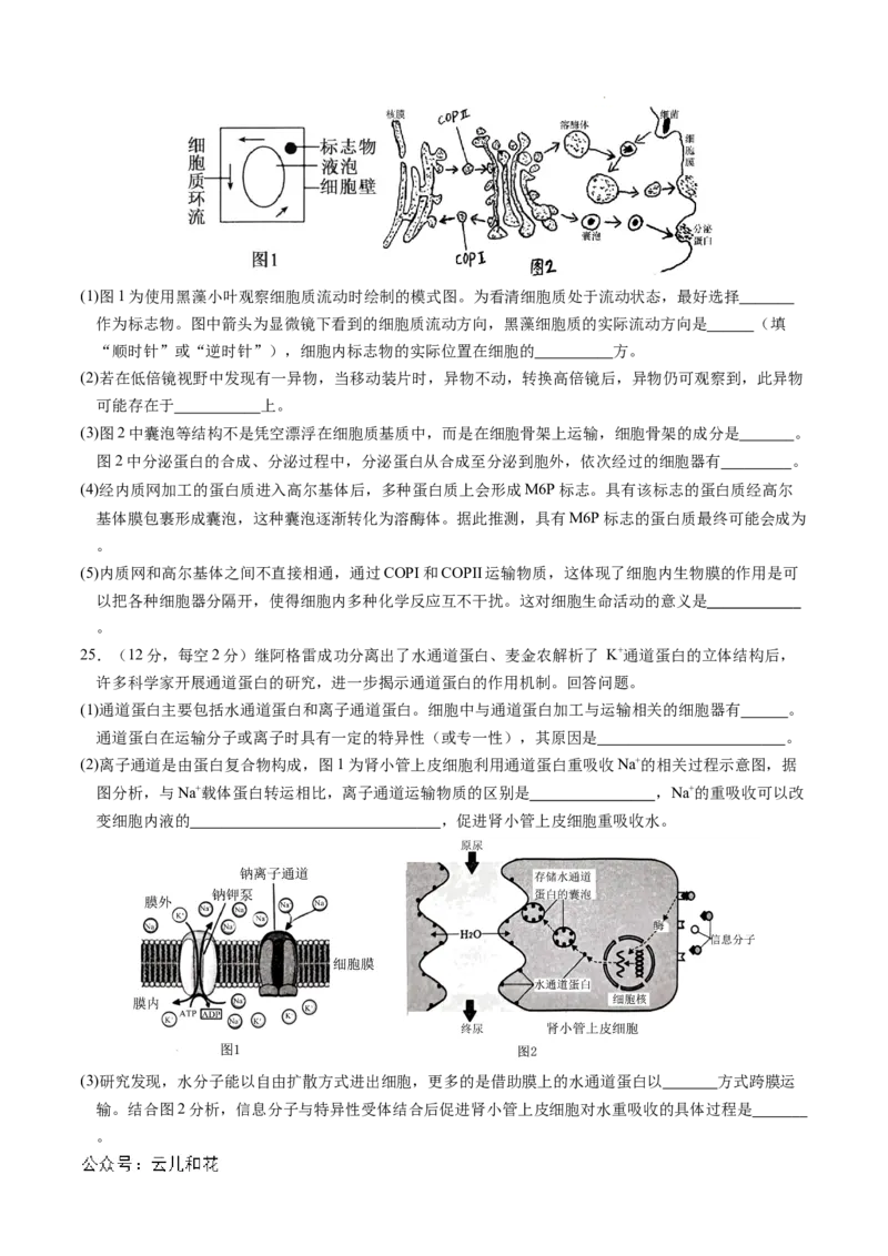 高一生物期中模拟卷01测试范围：人教版2019第1~4章（考试版A4）（新高考通用）_1多考区联考试卷_1014高一期中模拟卷（新高考通用）黄金卷：2024-2025学年高一上学期期中模拟考试