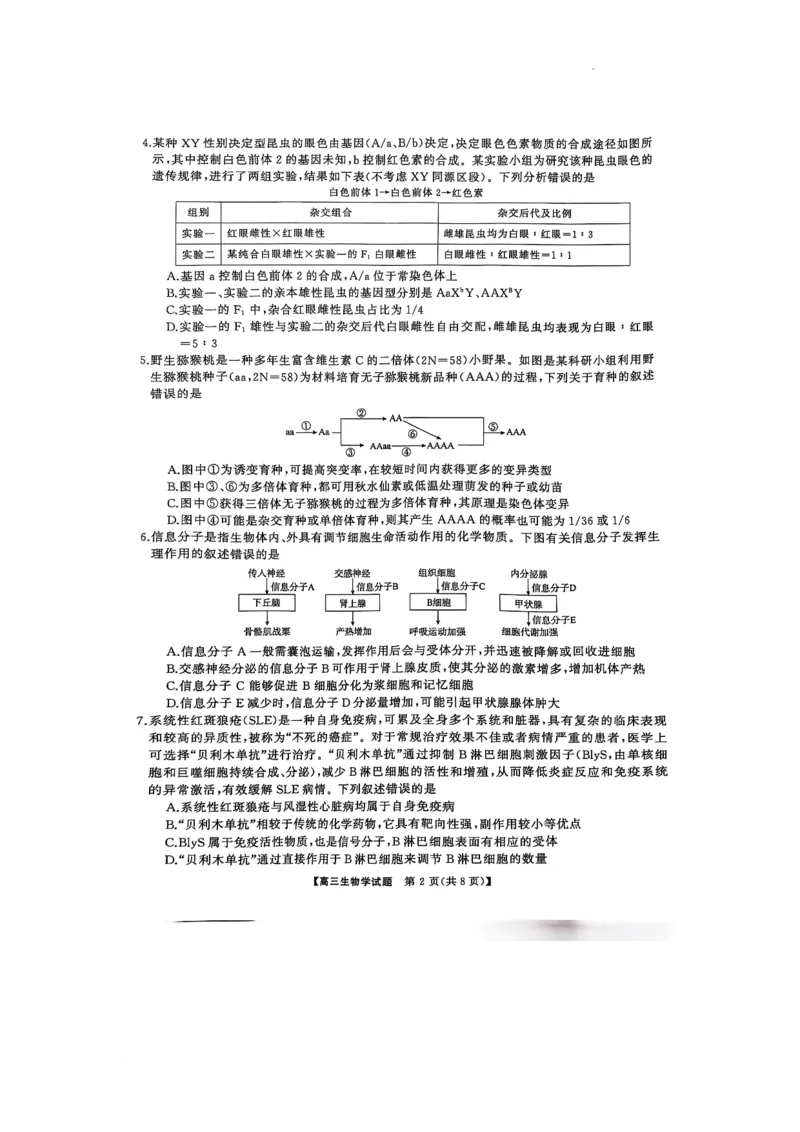 2025届三湘名校教育联盟五市十校教研教改共同体高三2月入学大联考生物试题_2025年2月_2502072025届三湘名校教育联盟五市十校教研教改共同体高三下学期2月入学大联考
