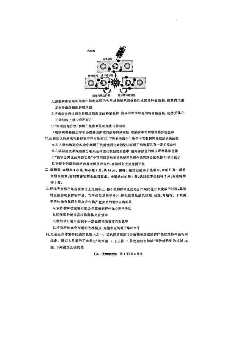 2025届三湘名校教育联盟五市十校教研教改共同体高三2月入学大联考生物试题_2025年2月_2502072025届三湘名校教育联盟五市十校教研教改共同体高三下学期2月入学大联考