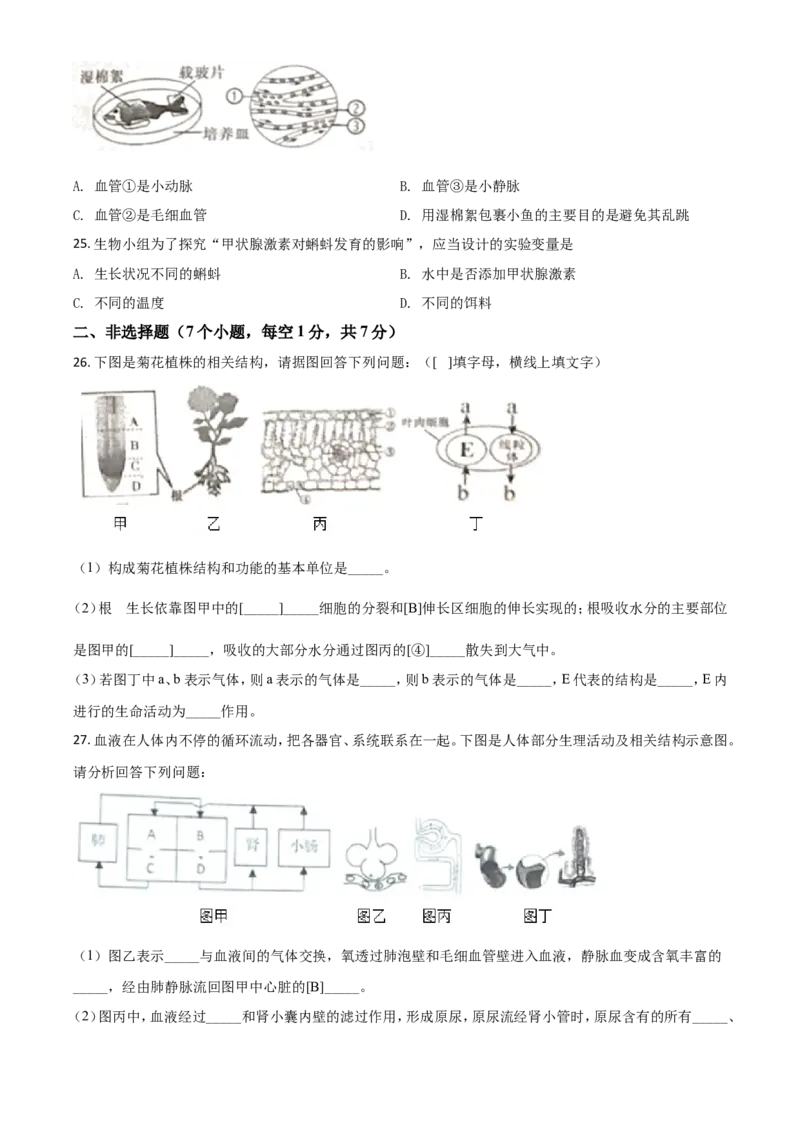 精品解析：辽宁省鞍山市2020年中考生物试题（原卷版）_中考真题_8.生物中考真题2015-2024年_2020生物真题74份_精品解析：辽宁省鞍山市2020年中考生物试题
