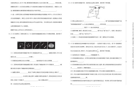 生物-青桐鸣2024-2025高二上9月联考(1)_1多考区联考_0910青桐鸣2024-2025高二上9月联考
