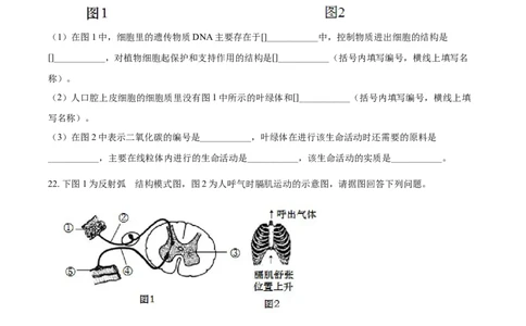 精品解析：湖北省黄石市2021年中考生物试题（原卷版）_中考真题_8.生物中考真题2015-2024年_2021中考生物真题64份_2021湖北_精品解析：湖北省黄石市2021年中考生物试题