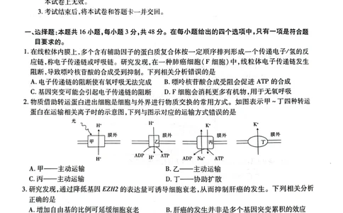 2025届河南省名校学术联盟高三下学期模拟冲刺生物试题（四）_2025年3月_250331名校学术联盟&middot;高考模拟信息卷&冲刺卷&预测卷（全科）