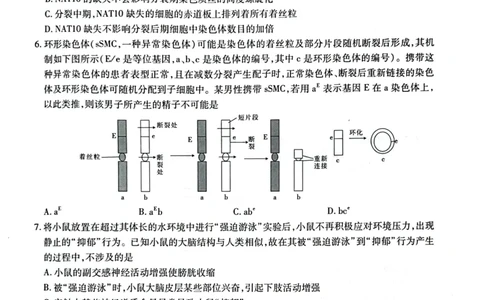 2025届河南省名校学术联盟高三下学期模拟冲刺生物试题（四）_2025年3月_250331名校学术联盟&middot;高考模拟信息卷&冲刺卷&预测卷（全科）