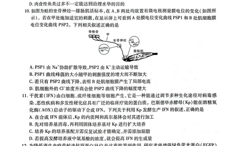 2025届河南省名校学术联盟高三下学期模拟冲刺生物试题（四）_2025年3月_250331名校学术联盟&middot;高考模拟信息卷&冲刺卷&预测卷（全科）