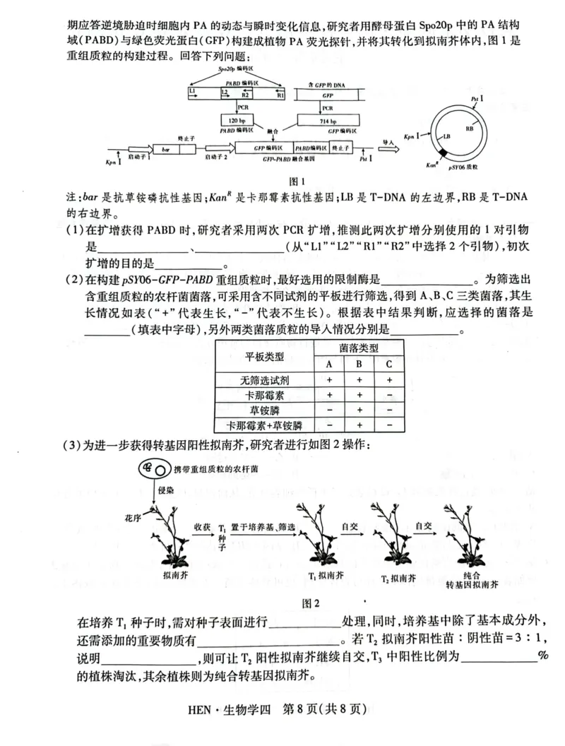 2025届河南省名校学术联盟高三下学期模拟冲刺生物试题（四）_2025年3月_250331名校学术联盟&middot;高考模拟信息卷&冲刺卷&预测卷（全科）
