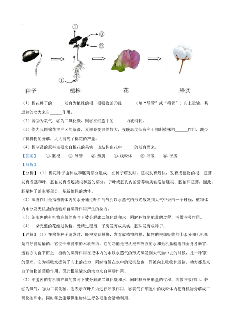 精品解析：云南省2021年中考生物试题（解析版）_中考真题_8.生物中考真题2015-2024年_2021中考生物真题64份_2021云南