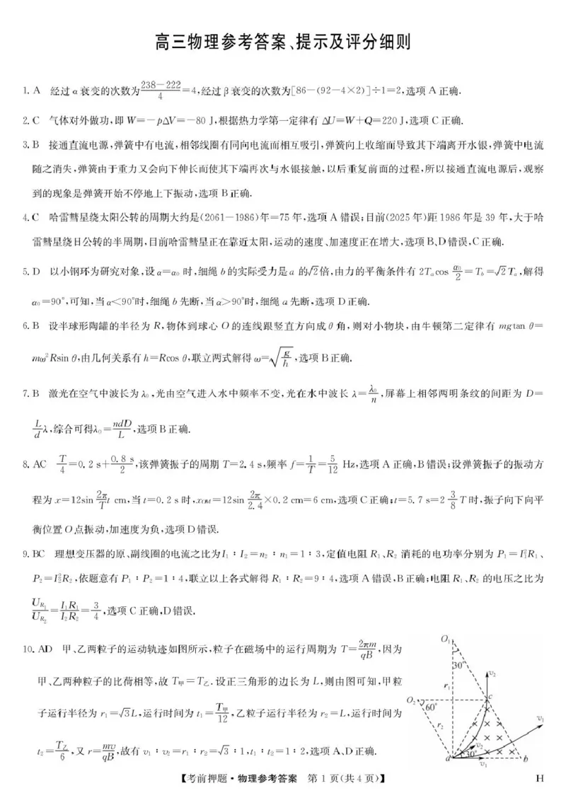 2025届江西九师联盟高三下学期5月检测模拟预测物理答案_2025年5月_250523九师联盟2025届高三5月考前押题联考（全科）_九师联盟2025届高三下学期5月考前押题物理