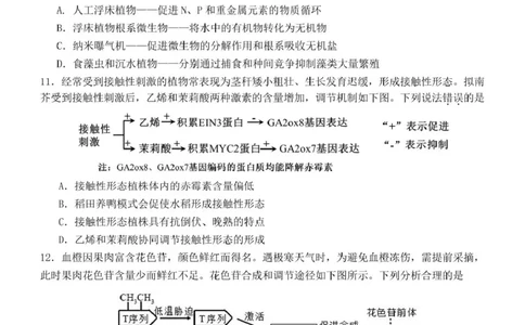 2025届广东省汕头市高三第三次模拟考试生物试卷（含答案）_2025年5月_250528广东省汕头市2025届高三下学期第三次模拟考试（全科）