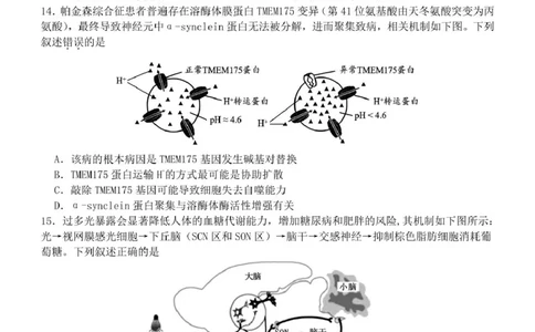 2025届广东省汕头市高三第三次模拟考试生物试卷（含答案）_2025年5月_250528广东省汕头市2025届高三下学期第三次模拟考试（全科）