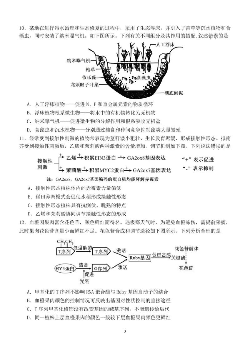 2025届广东省汕头市高三第三次模拟考试生物试卷（含答案）_2025年5月_250528广东省汕头市2025届高三下学期第三次模拟考试（全科）