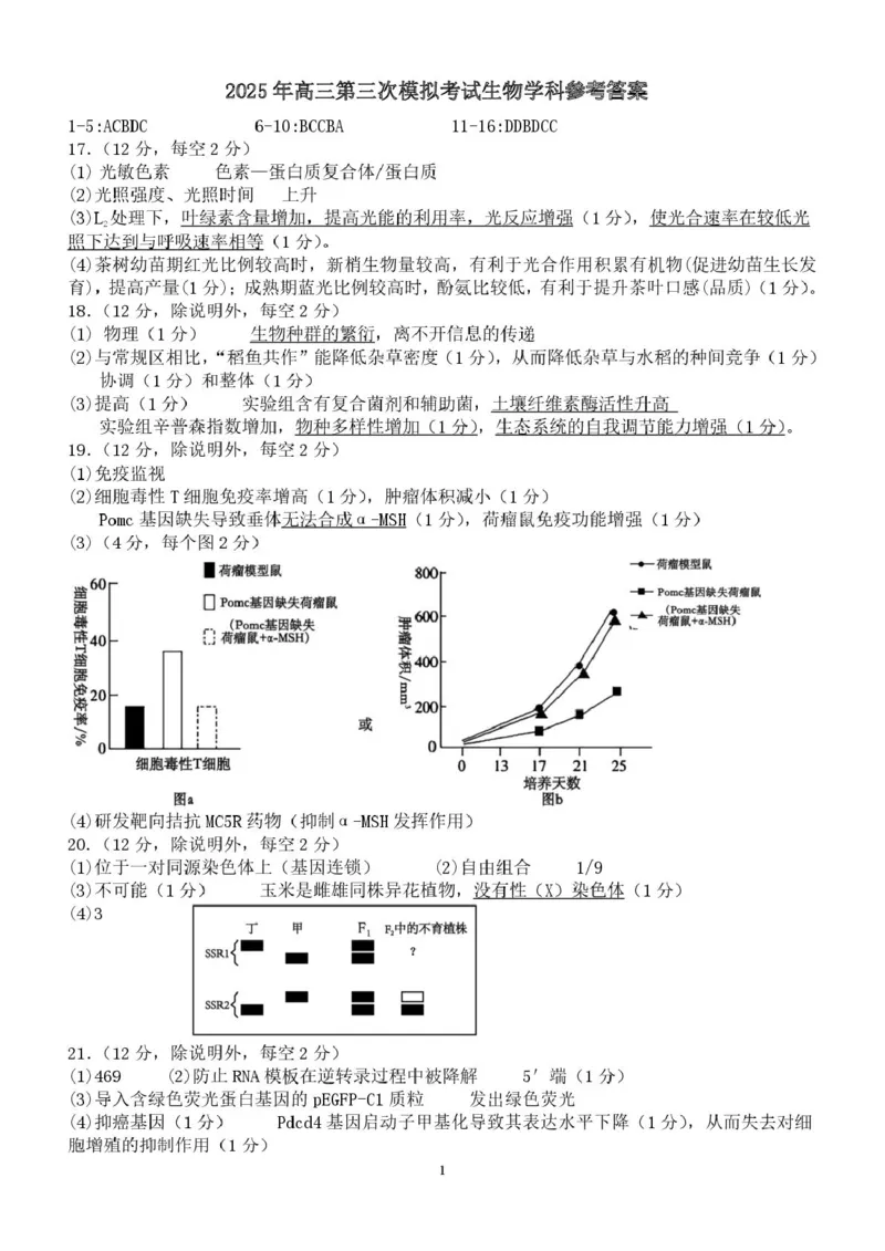 2025届广东省汕头市高三第三次模拟考试生物试卷（含答案）_2025年5月_250528广东省汕头市2025届高三下学期第三次模拟考试（全科）