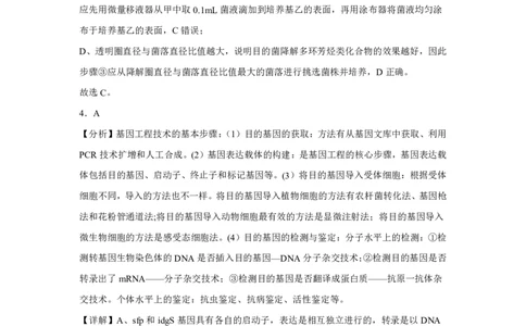 (8.21)-点睛押题卷&mdash;&mdash;湖北卷参考答案及解析_2024高考押题卷_132024高途全系列_26高途点睛卷_2024点睛密卷-生物